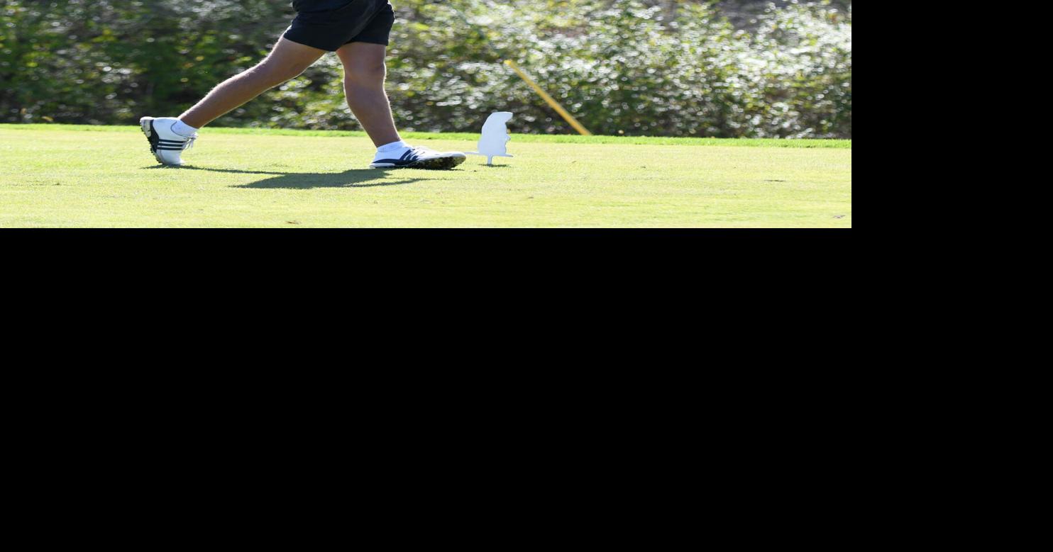 Sports in brief: Rapp, Wenner capture D9 golf titles