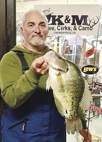 Hodge's 3.65-pound white crappie takes over second spot in state records, Local Sports News