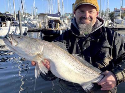 North Carolina angler catches biggest-ever speckled trout in N.C.