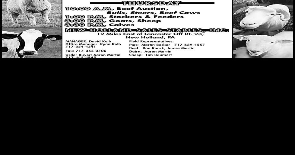 NEW HOLLAND SALES STABLES INC. THE Farmers Friend