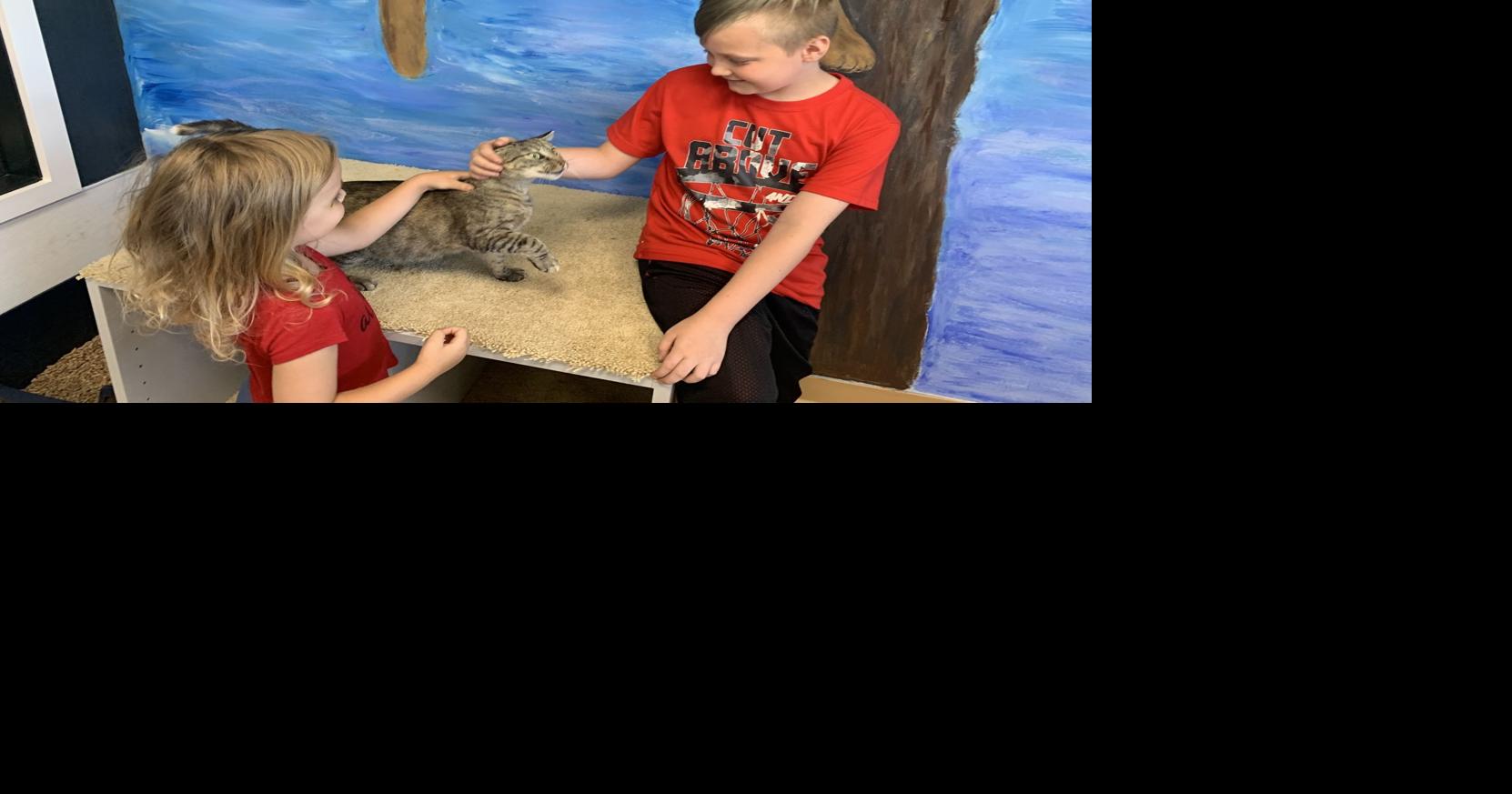 Happy Tails opens to the public | Local/Regional | thedailyreview.com