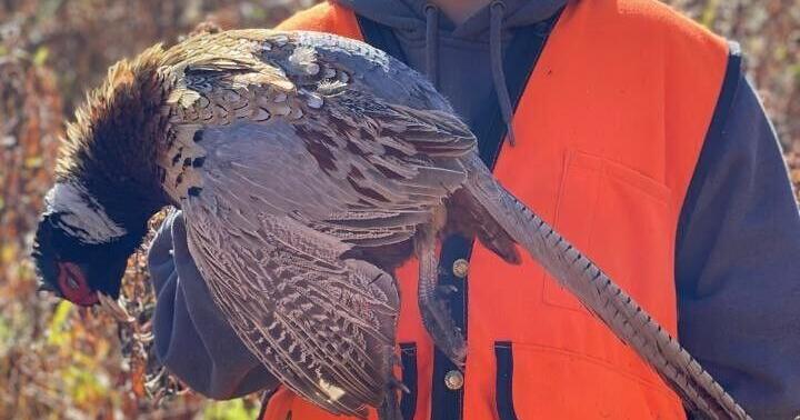 Still Out There: Take a kid hunting or fishing | Sports ...