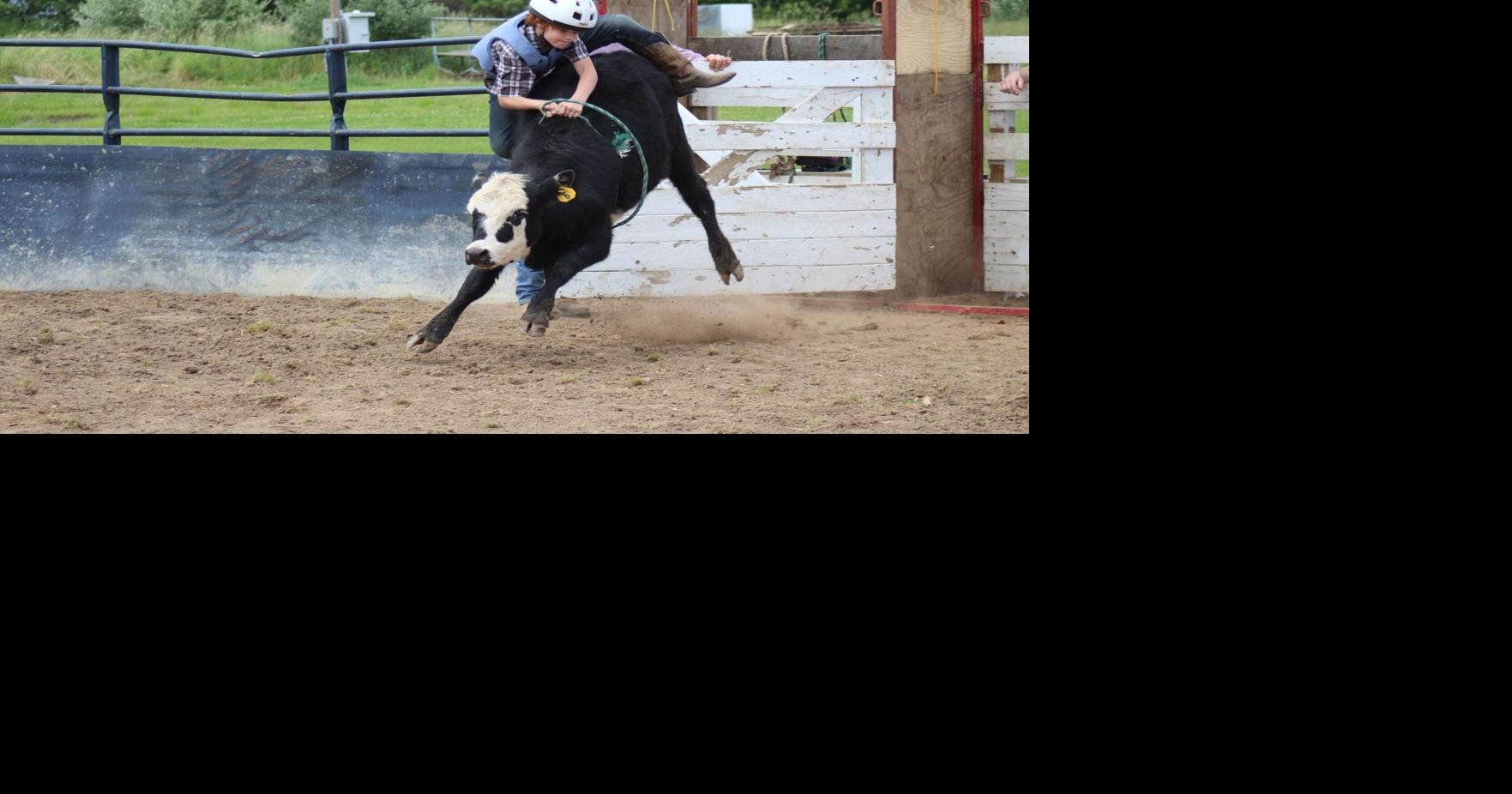 Kiddie cowboys featured in new Monroeton Old Home Days rodeo | Local ...