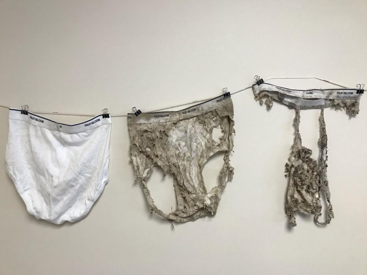 CONSERVATION CORNER: Have you soiled your underwear lately