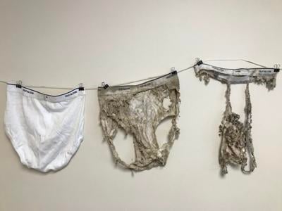 CONSERVATION CORNER: Have you soiled your underwear lately?, Local/Regional