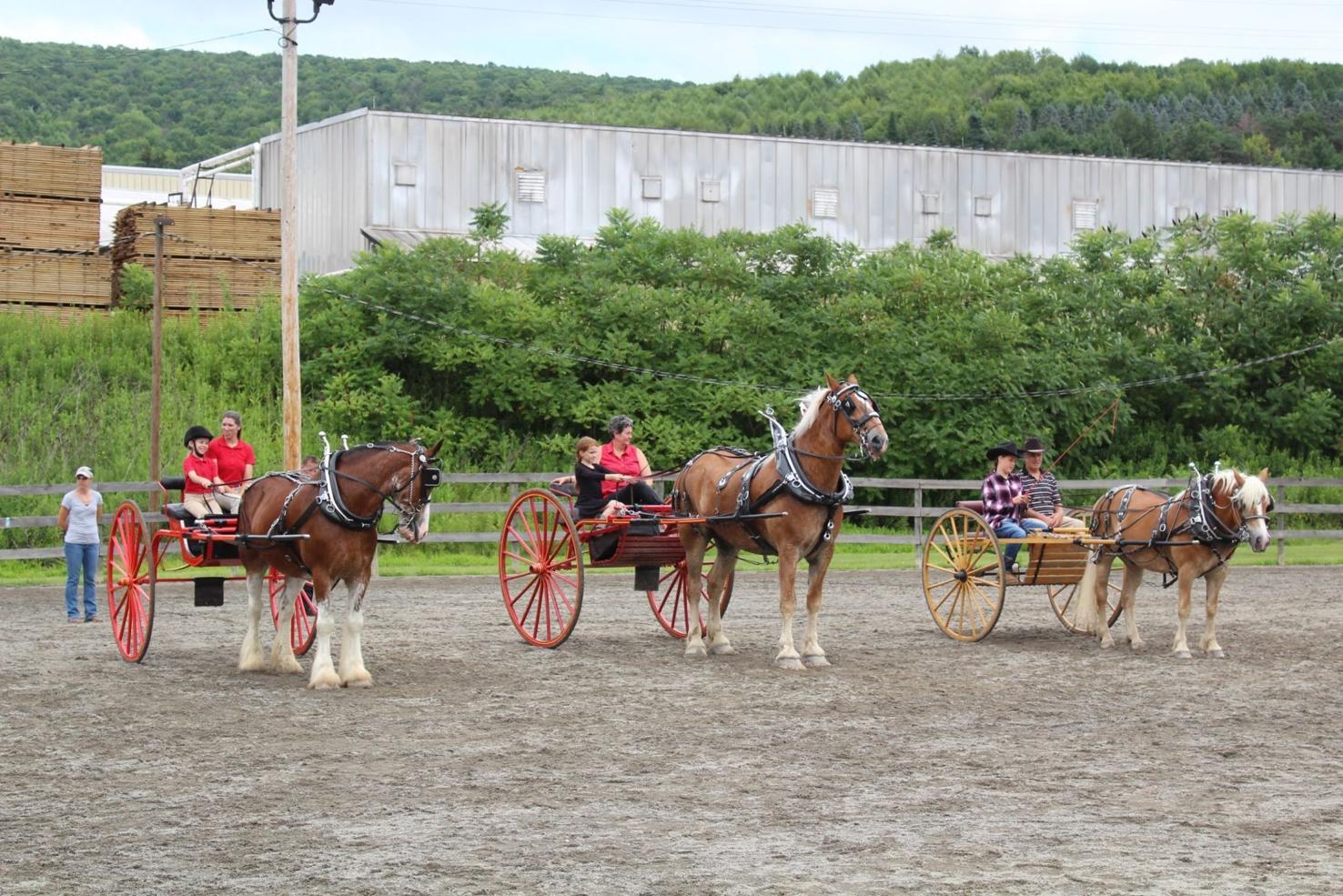 145th Troy Fair Draft Horse Show set for July 25 | Local/Regional