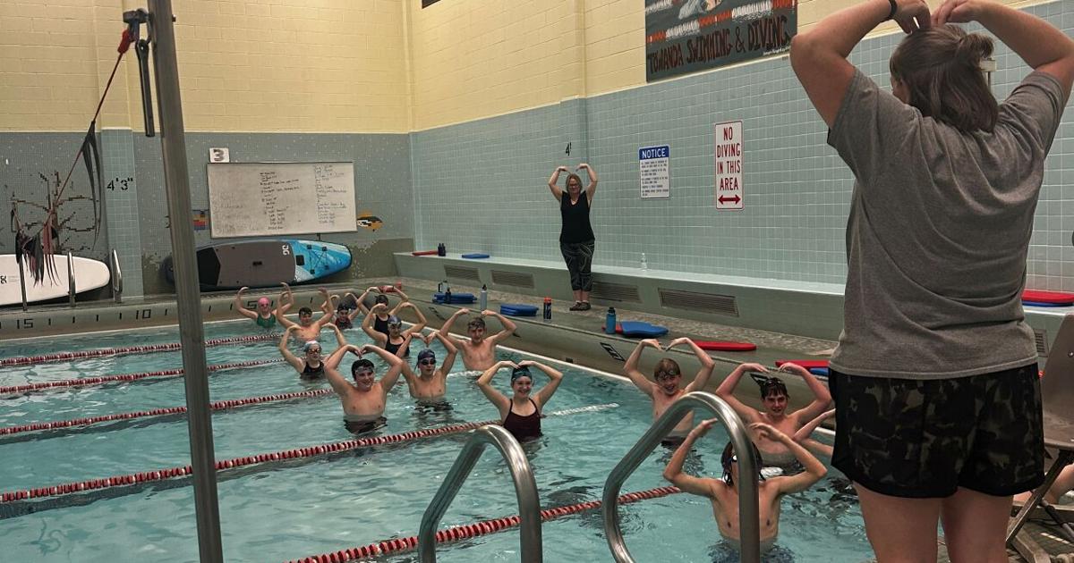 Local Service Adds Towanda Aqua Ducks Swim Club seeks donations | Local/Regional ...