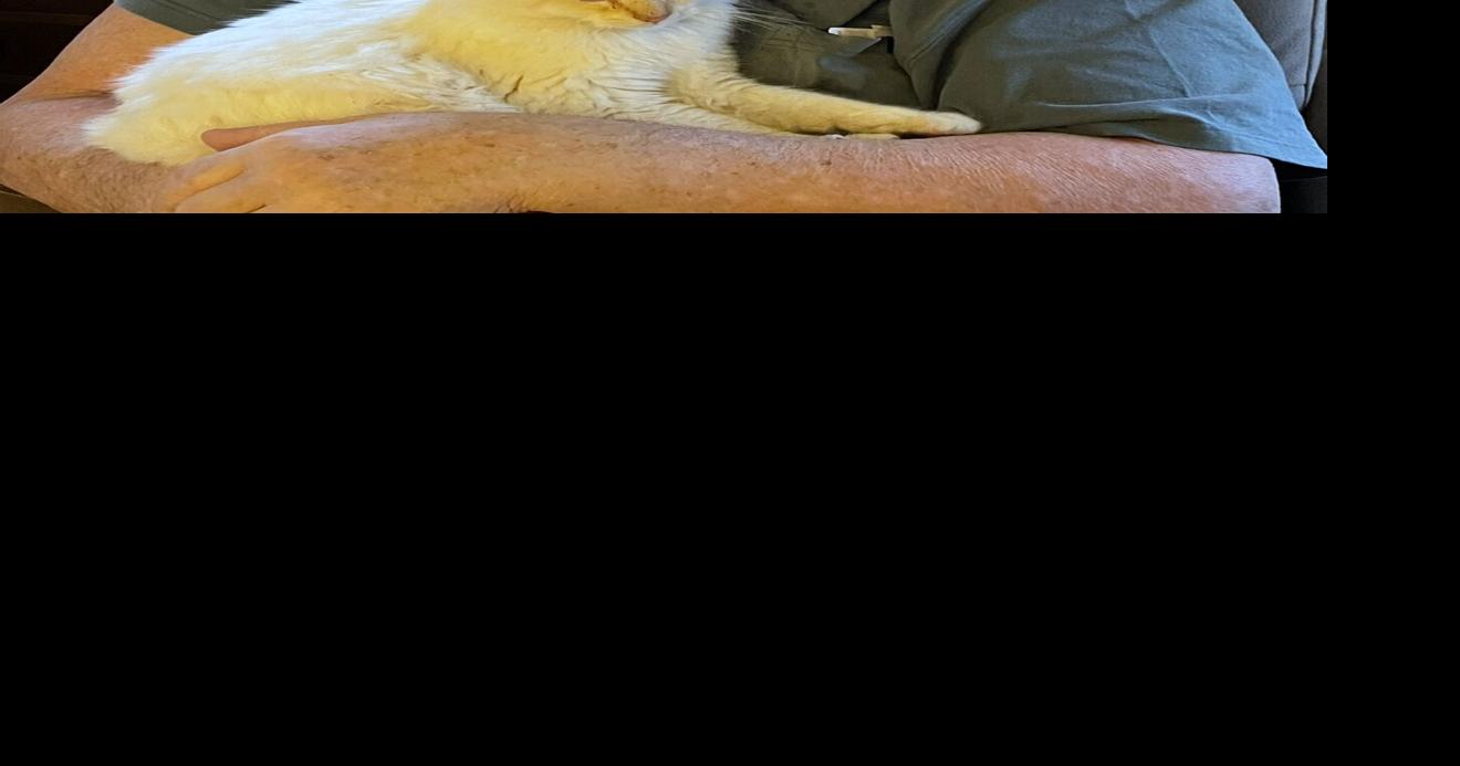 David R. Reichard, Sr. | Obituaries | thedailyreview.com