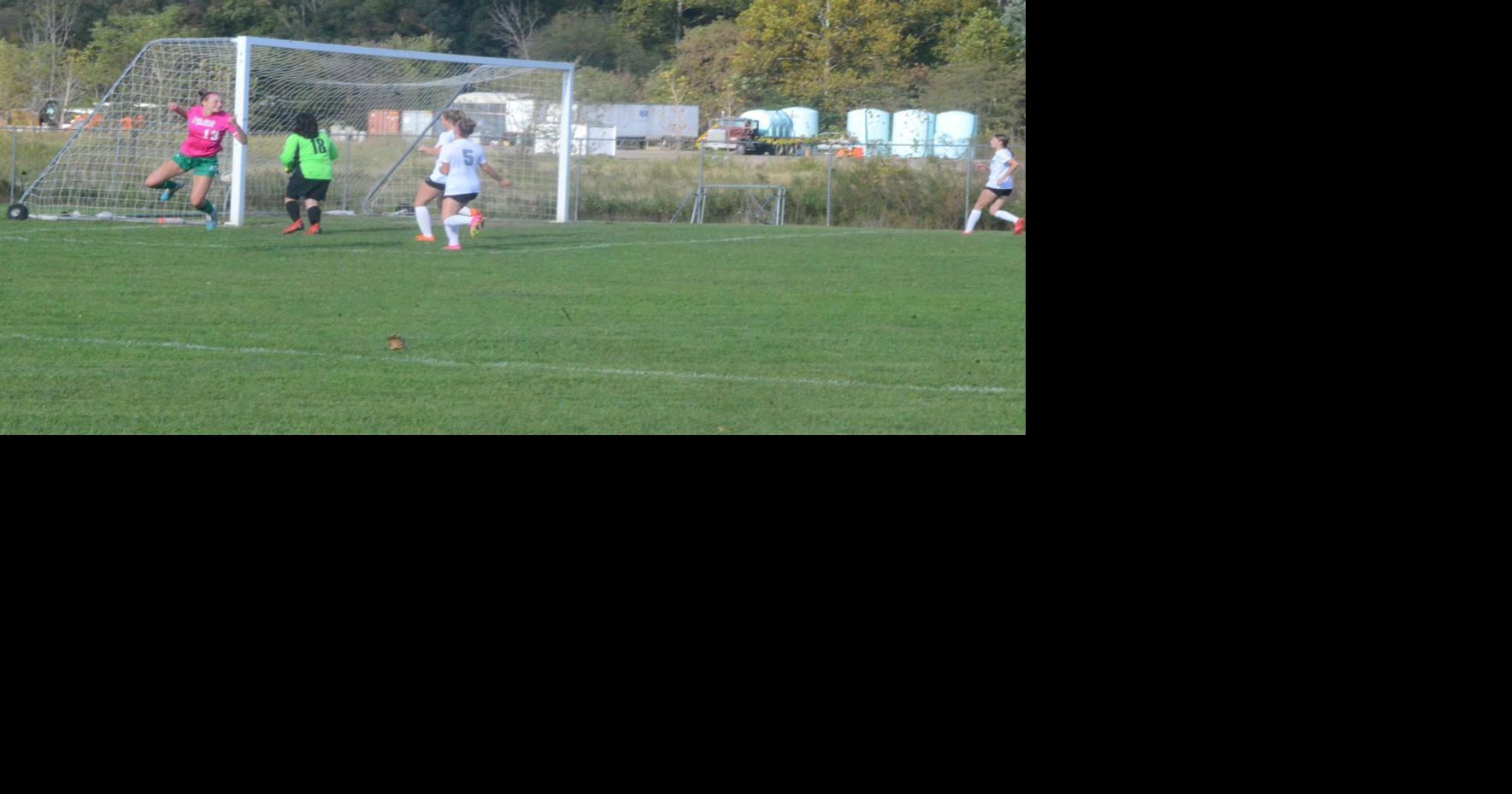 Wyalusing's Haley nets career goal 100, Lady Rams top Athens at home, 3 ...
