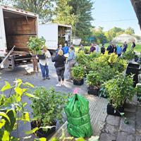 Keystone Tree Fund KEYSTONE 10 MILLION TREES PARTNERSHIP ADDING 130,000 NEW TREES FOR ...