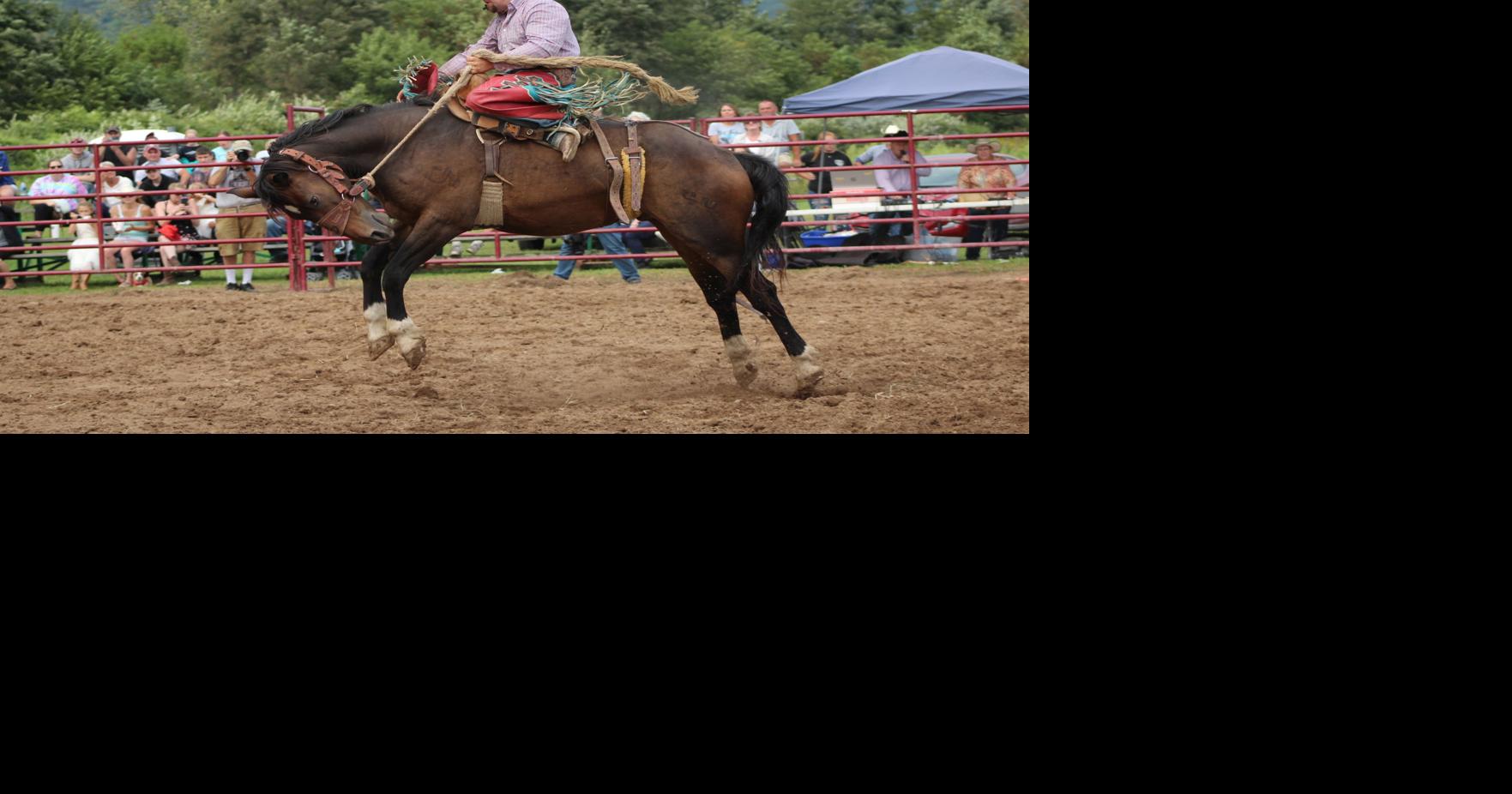 Monroeton rodeo ropes ‘em in Local/Regional