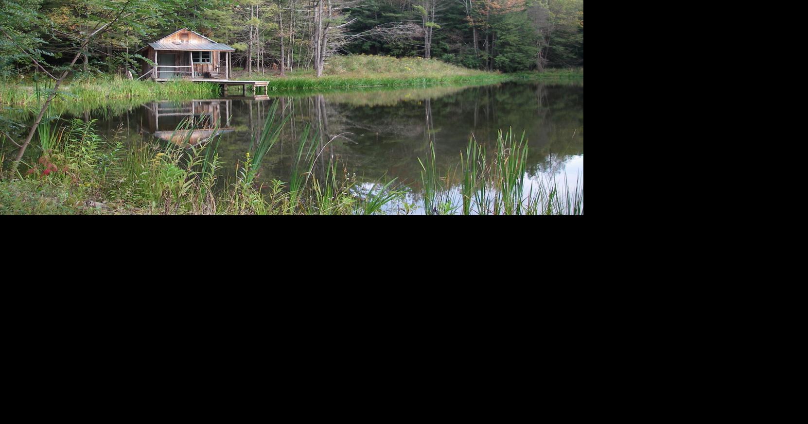 Conservation Corner Do I need a permit to build a pond? Arts