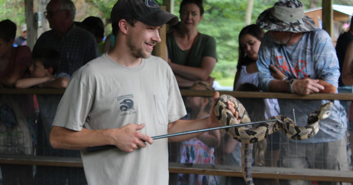 Monroeton Rod and Gun Club hosts annual rattlesnake hunt | Todays Top ...