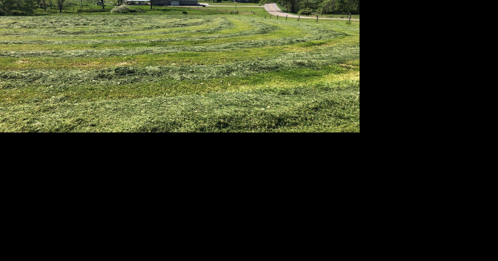 CONSERVATION CORNER: Quality hay – how sweet it is! | Local/Regional ...