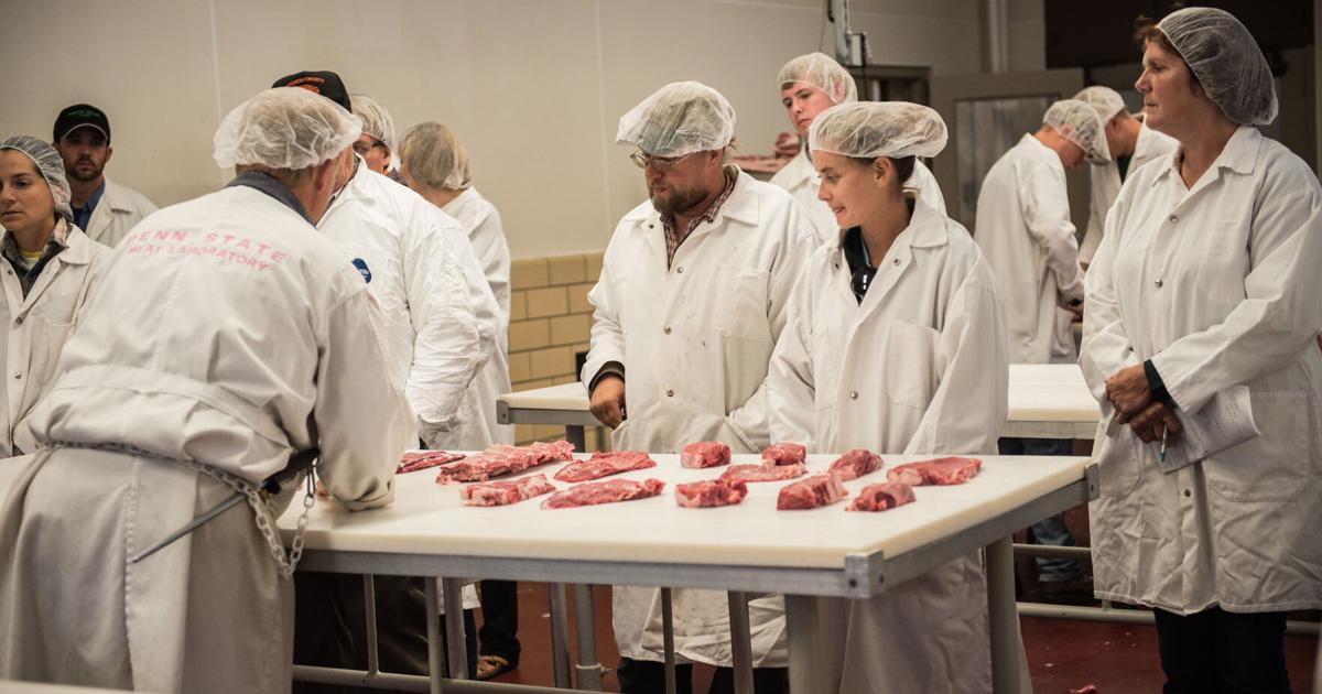 Small Beef Course Pennsylvania Beef Producers announce two-day Penn State beef course ...