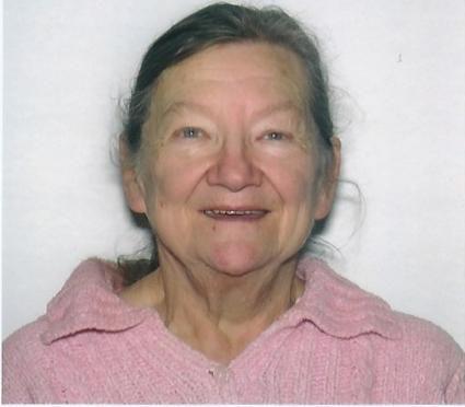 Susan E Wolfe 71 Obituaries Thedailyreview Com