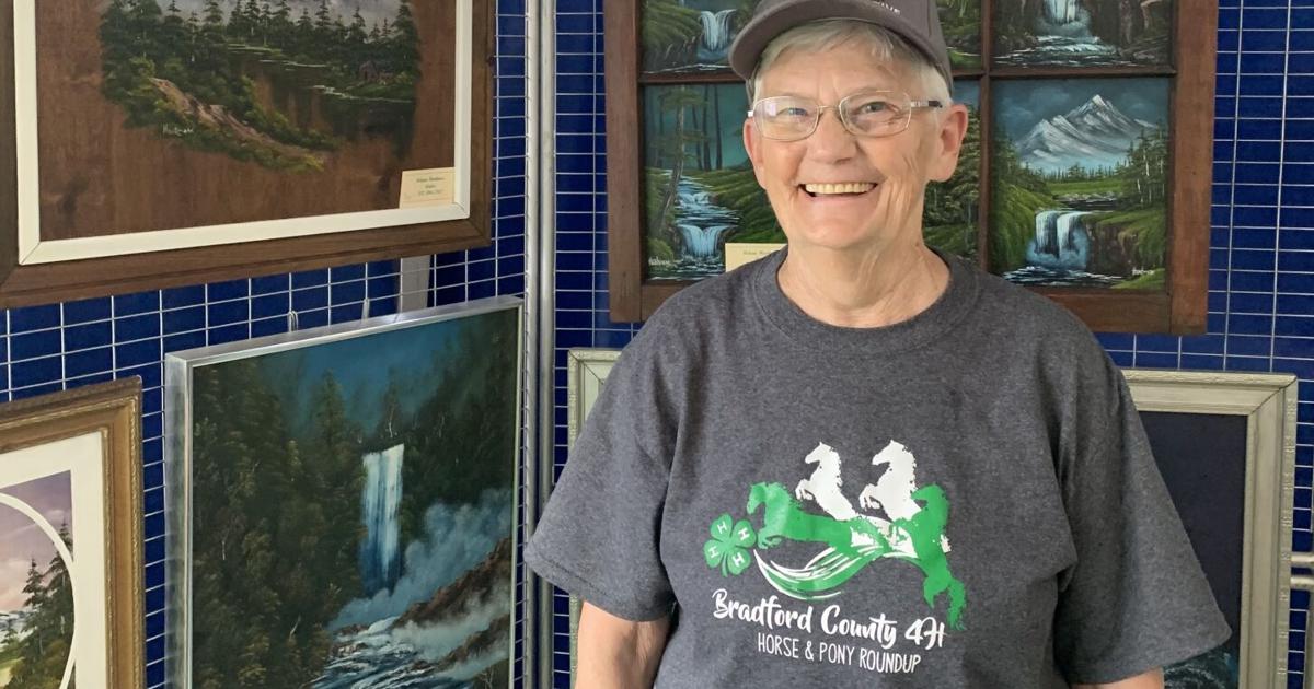 Fine Arts Council of Troy member reflects on artwork at Troy Fair ...