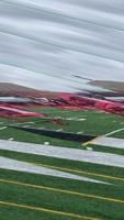 field