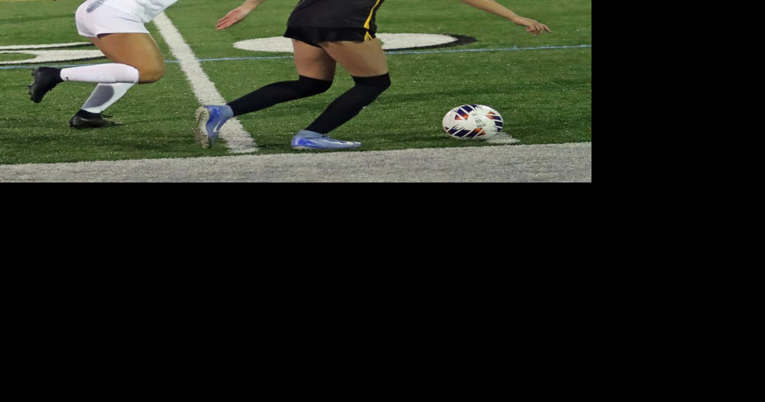 Girls Soccer: Troy falls 6-1 to Northwestern Lehigh in state playoffs ...