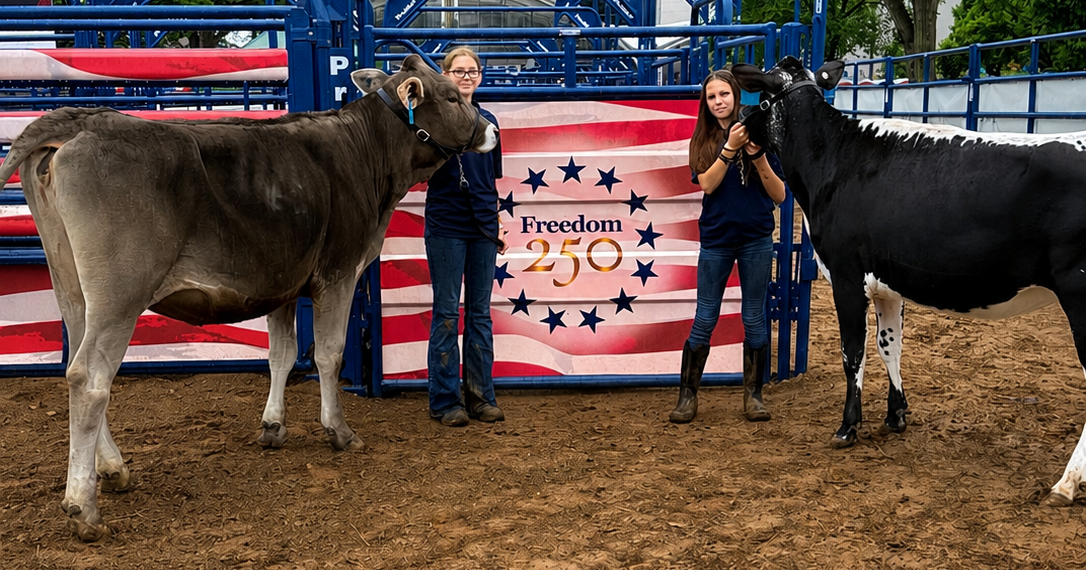 Bradford County girls show dairy cows at National Mall fair