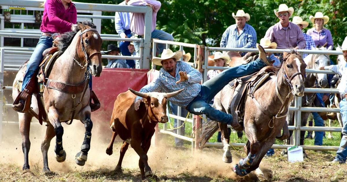 Monroeton Rodeo cancelled for this year | Local/Regional ...