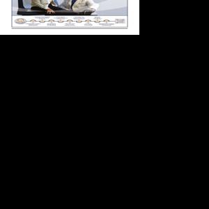 Page A13 | Digital Edition | thedailyreview.com
