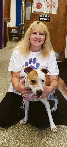 Volunteers are key to shelters' success
