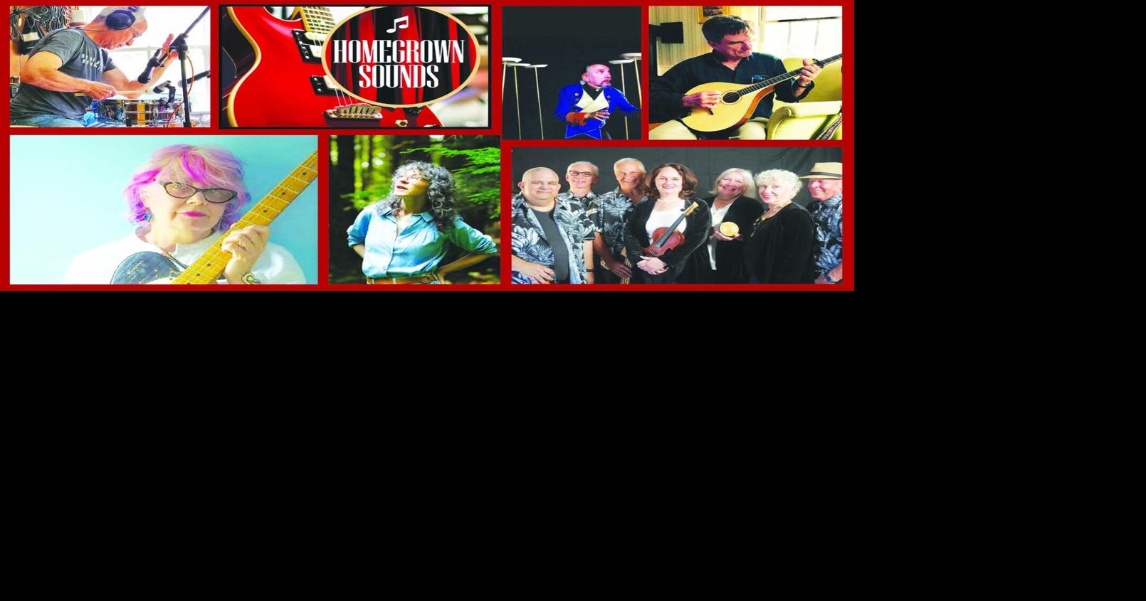 Local musicians, author to perform in Roxbury | Entertainment News ...