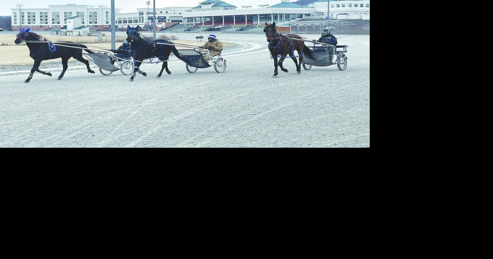 Harness racing a highlight during summer fair season | Lifestyles ...
