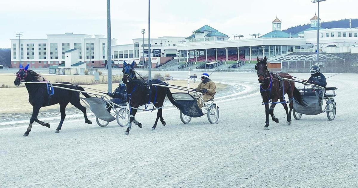 Fairness In Racing Harness racing a highlight during summer fair season | Lifestyles ...