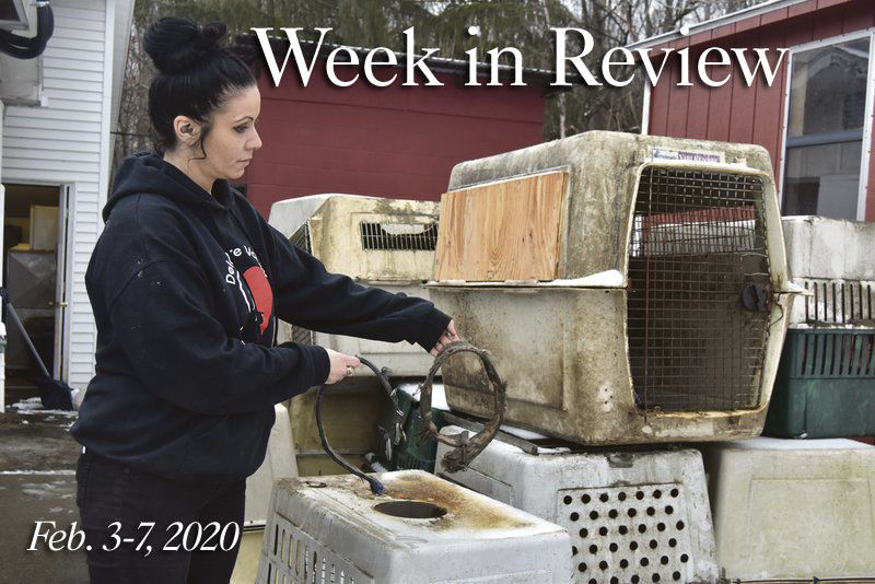 Week in Review: Feb. 3-7