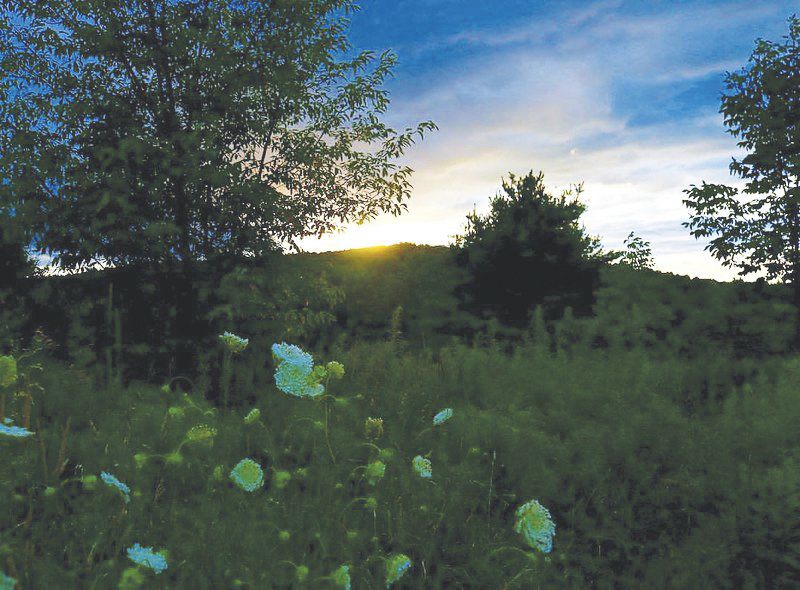 Popup series to feature Robinson, VanArsdale