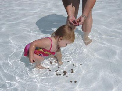 On The Bright Side Summer Tradition Resumes At Andes Pool Local
