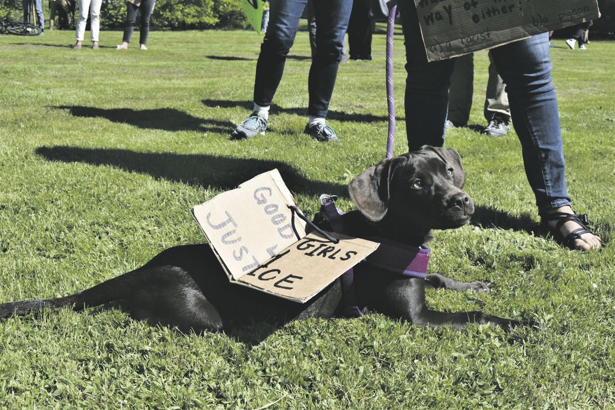 All bark ,no bite