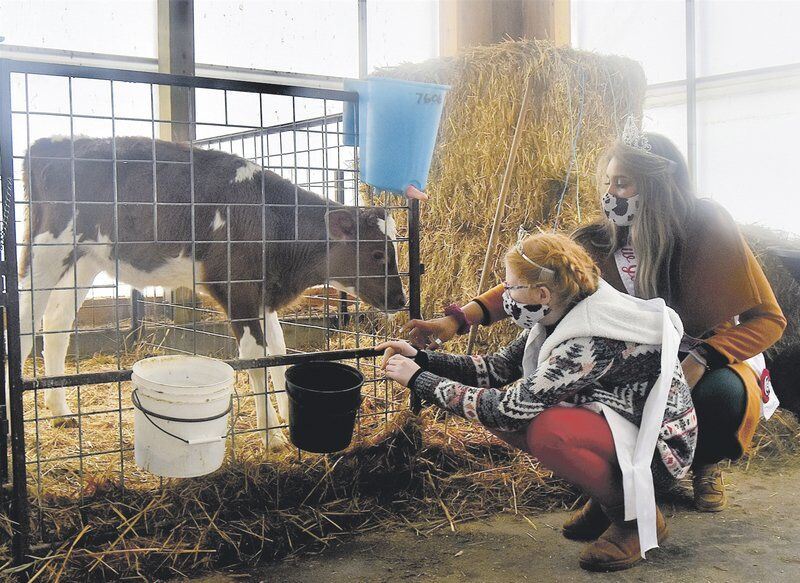 Dairy Princess pioneer charts unique course