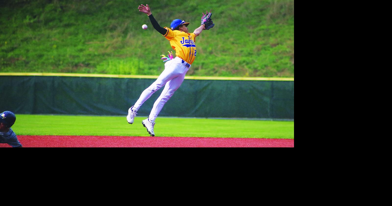 Oneonta wins division title in baseball