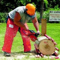 Logging contest offered serious fun | Local News | thedailystar.com