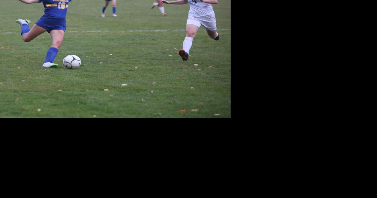 Schenevus, Morris/Edmeston advance in TriValley League playoffs High