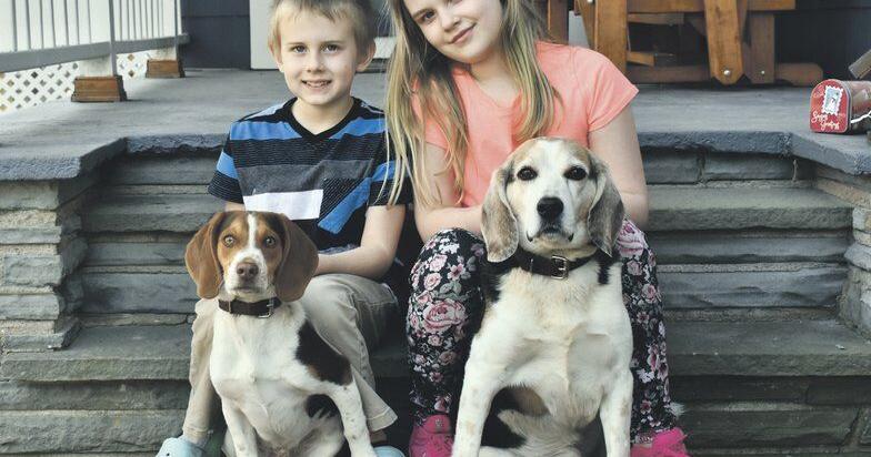 For birthday, local boy just wants you to help animals | Local News ...