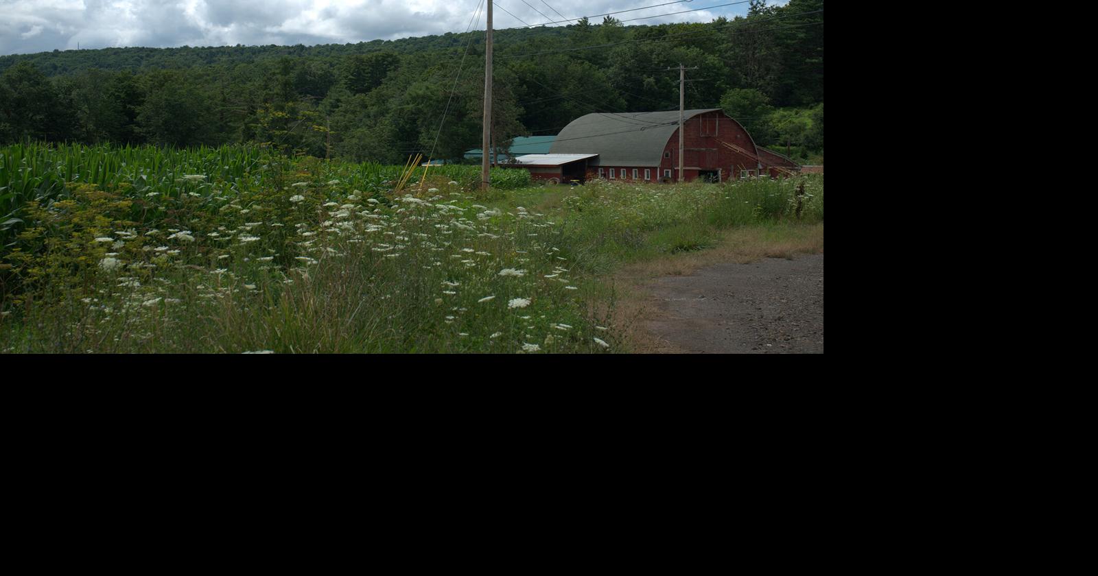 Delaware County expands agricultural district by 550 acres