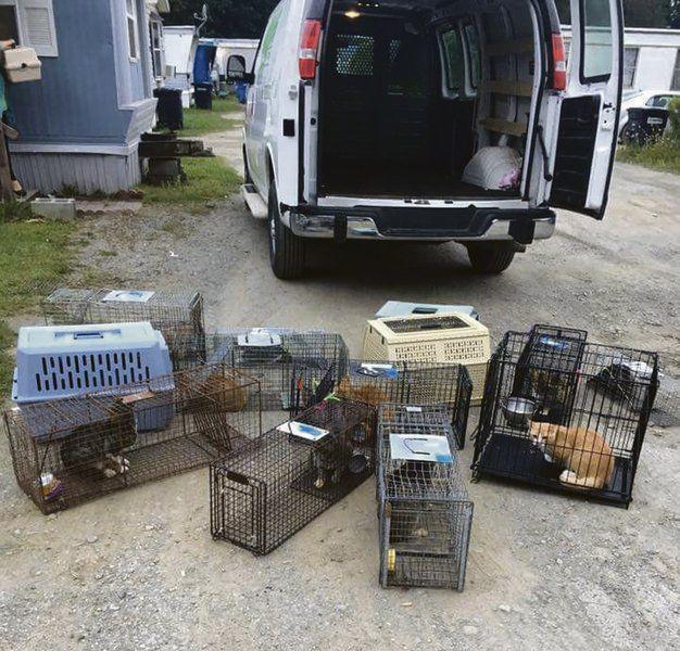 Superheroes Work To Aid Animals Local News Thedailystar Com