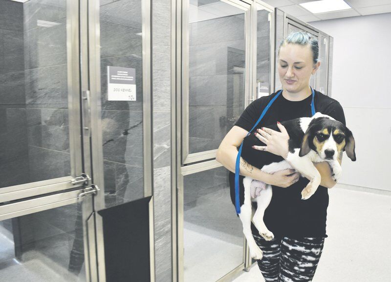 Susquehanna SPCA moves into new home