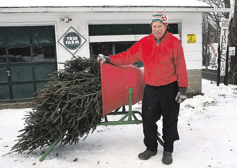 Shop Talk Brady Tree Farm Archives Thedailystar Com