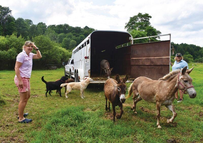 Woman opens animal rescue in Morris