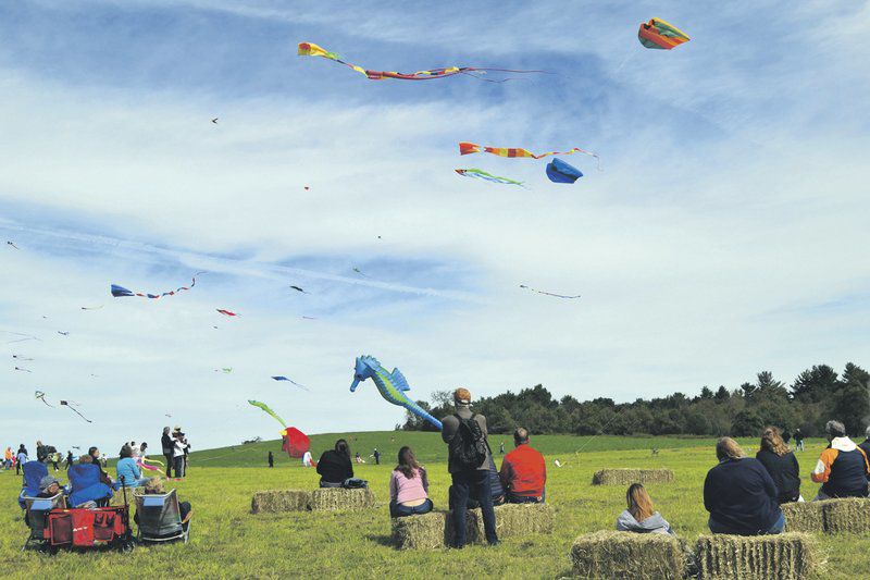 Blues, kite festivals canceled over virus