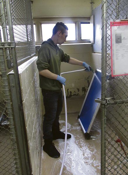 Laurens trio lends hand at animal shelter before school