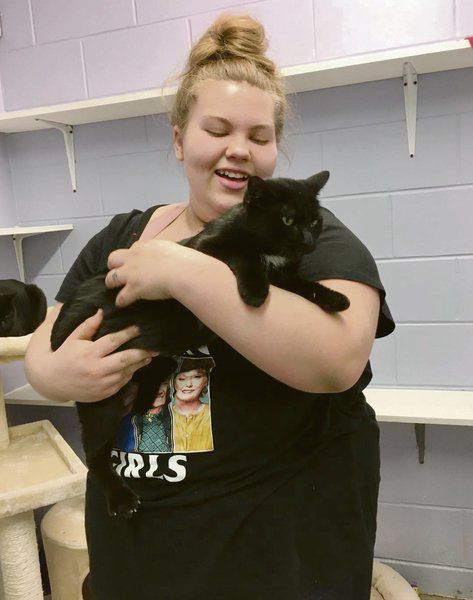 Volunteers are key to shelters' success
