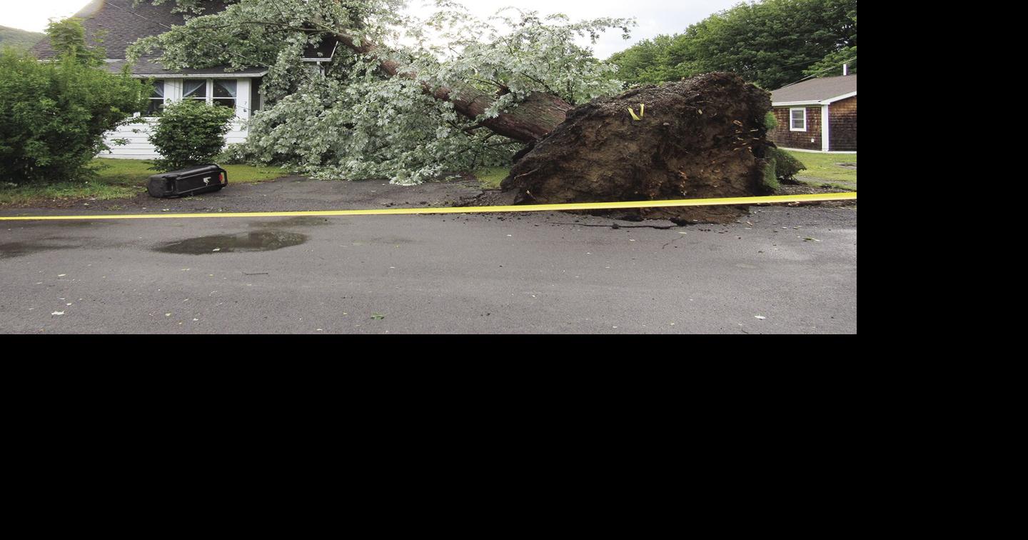 Thunderstorms knock out power, down trees | News | thedailystar.com