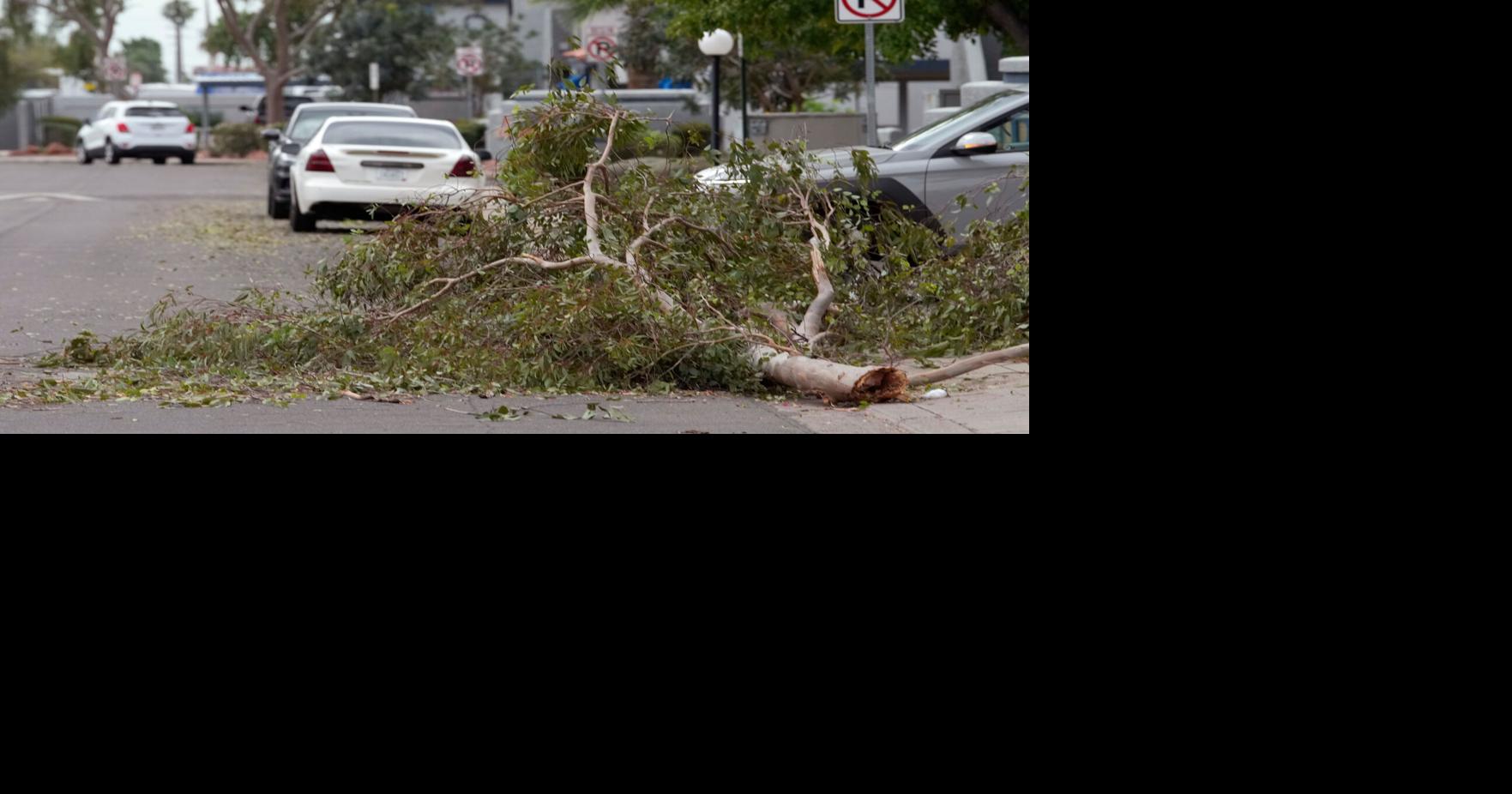 Hail the size of golf balls pummels parts of Arizona as rare storm ...