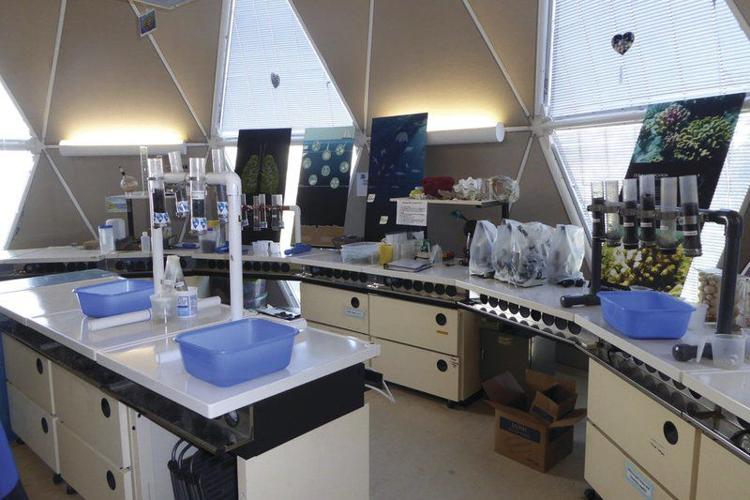 Lab Biosphere Visiting the Biosphere 2 complex in Arizona | Lifestyles | thedailystar.com